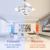 bella-depot-ceiling-fans-with-lights-dc4264-c-4f.4