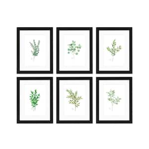 "Nature's Lace 1" by Alyssa Lewis Set of Six Black Framed with Mat Nature Art Prints 14 in. x 11 in.