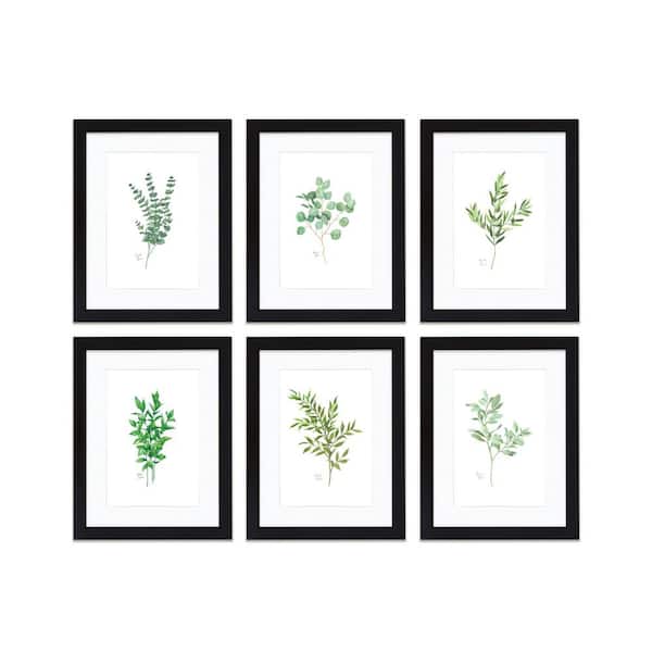 Unbranded "Nature's Lace 1" by Alyssa Lewis Set of Six Black Framed with Mat Nature Art Prints 20 in. x 16 in.