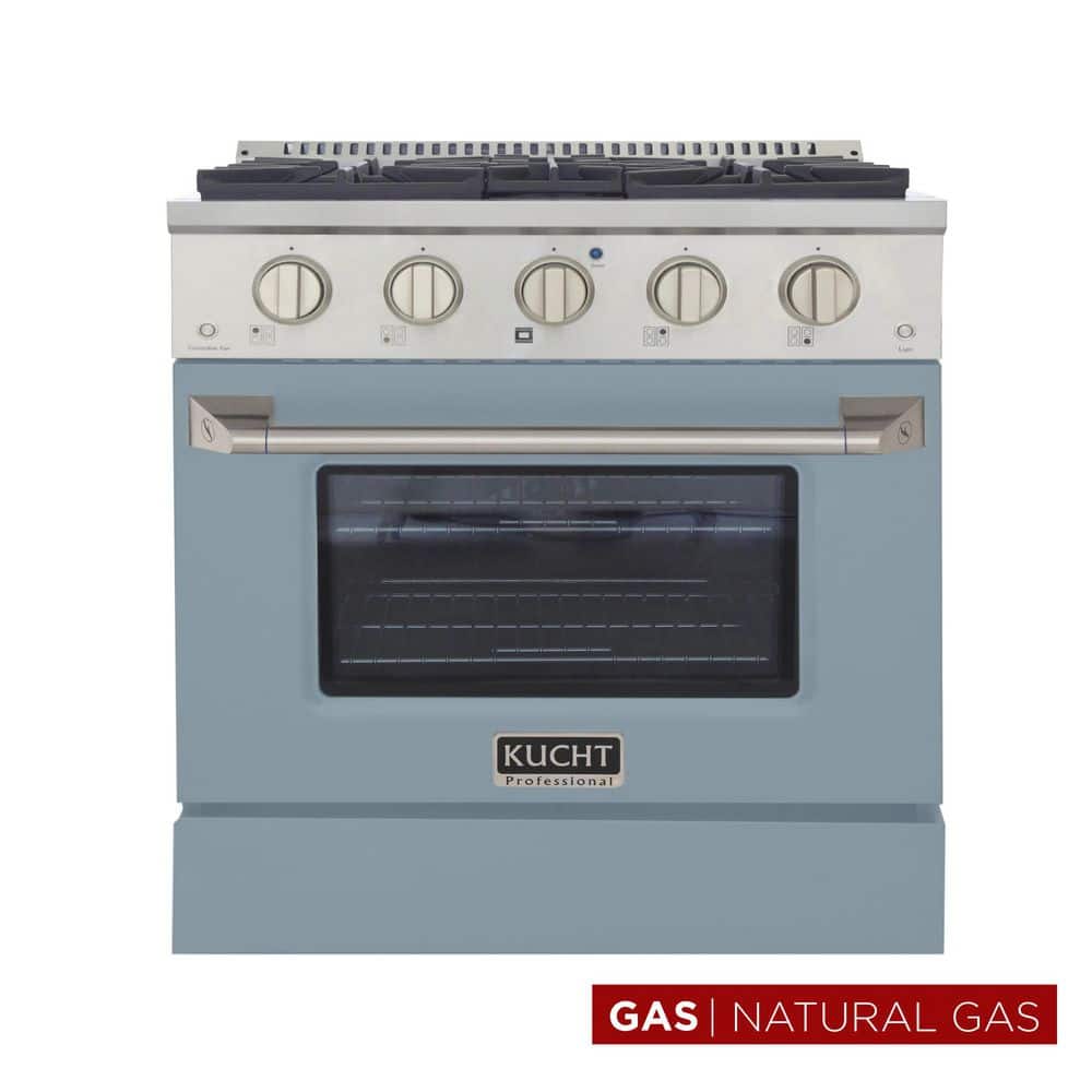 Pro-Style 30 in. 4.2 cu. ft. 4-Burners Natural Gas Range with Convection Oven in Stainless Steel & Light Blue Oven Door price history on PriceWatchPro