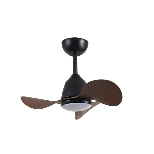 Cian 24 in. 1-Light Indoor Black Finish Ceiling Fan with Light Kit