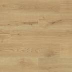 Daltile Laurelwood Cream 8 in. x 47 in. Color Body Porcelain Floor and ...