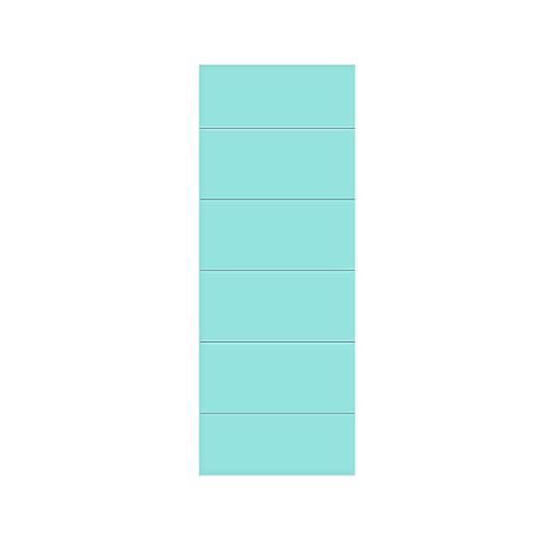 CALHOME Modern Classic Series 24 in. x 96 in. Mint Green Stained Composite MDF Paneled Interior Barn Door Slab
