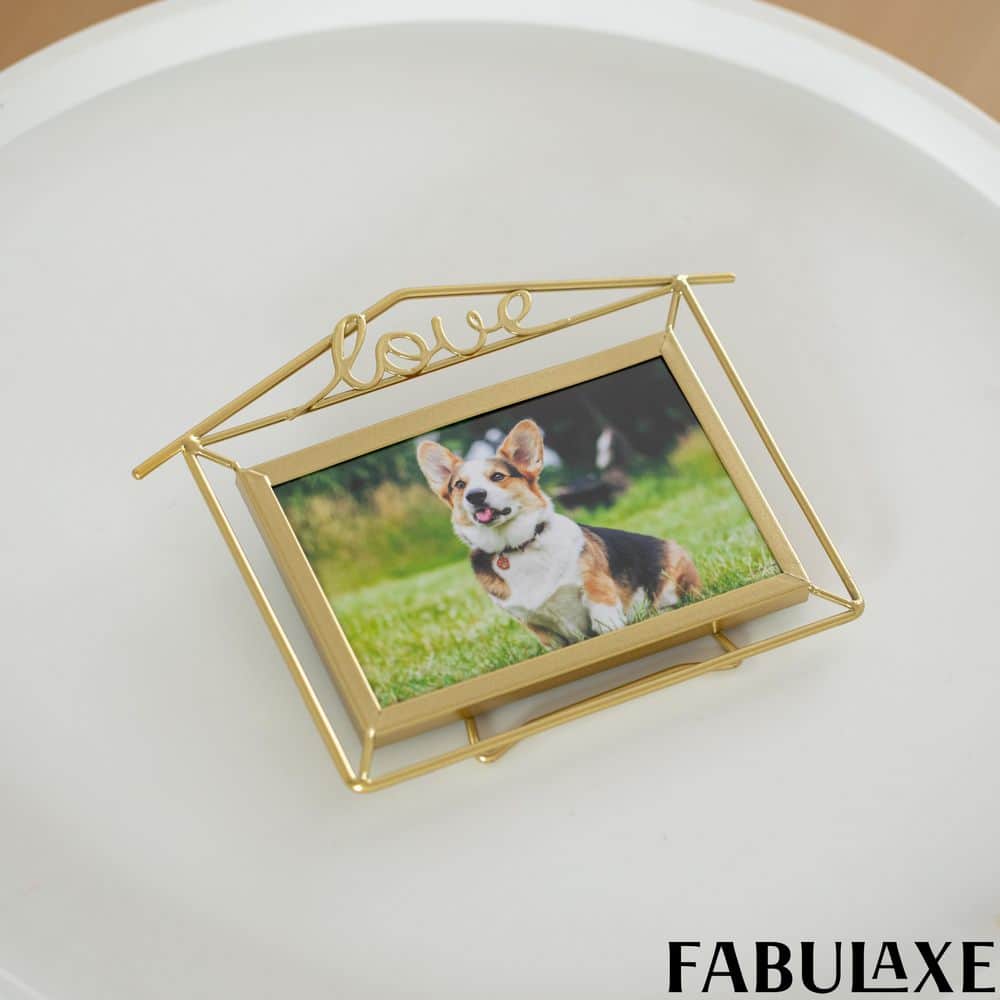 Set of 2 Decorative Gold Horizontal 6 x 8, and 4 x 6 Metal Floating Picture Frames with Easel Back Large and Small