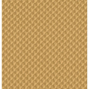 Exquisite - Sunshine - Beige 39.3 oz. Nylon Pattern Installed Carpet