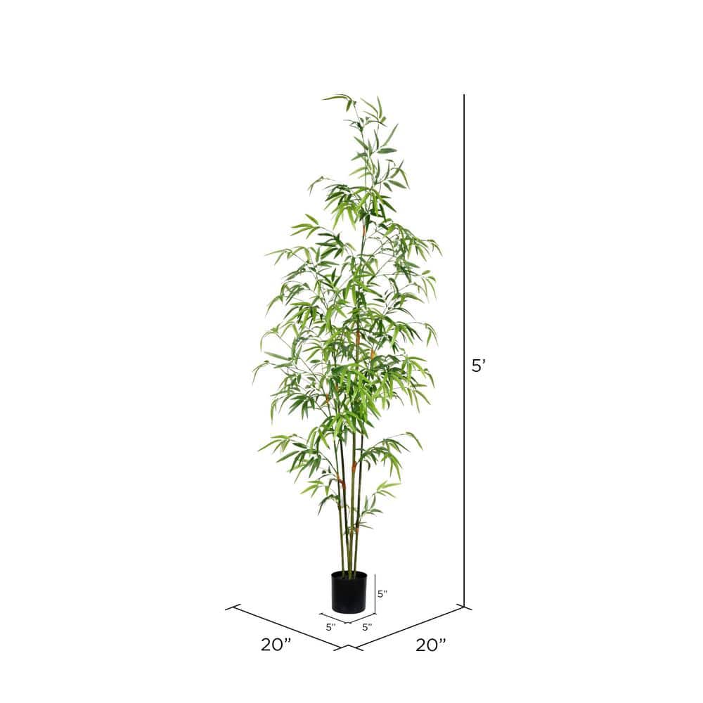 5' Lush Green Mini Bamboo in Black Plastic Planter