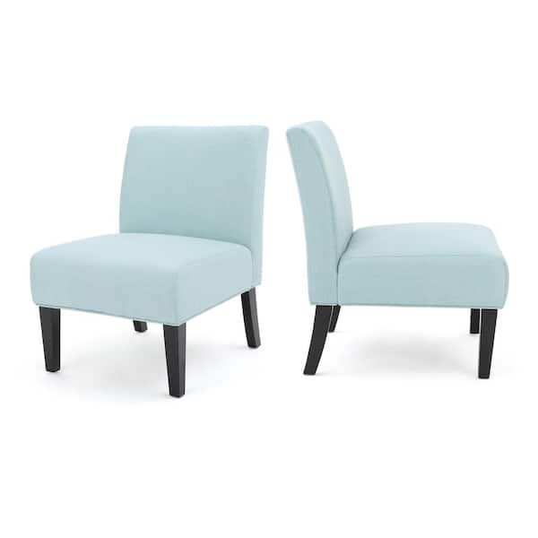 Noble House Kassi Light Blue Fabric Accent Chairs (Set of 2)