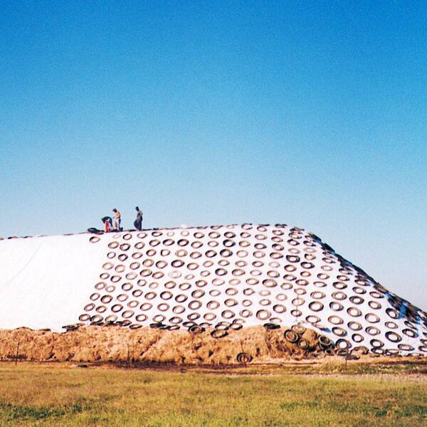 thumbnail image 2 of Farm Plastic Supply 5 Mil Black/White Silage Tarp – Heavy-Duty Polyethylene Sheeting 2 of 6