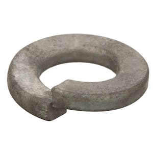 1/4 in. Galvanized Lock Washer (100-Pack)