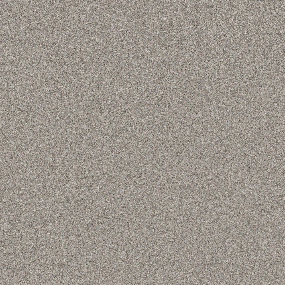 8 in. x 8 in. Texture Carpet Sample - Sunshine Cottage - Color Cobblestone price history on PriceWatchPro