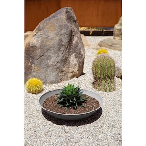 Lane Bowl 24 in. Gray Plastic Round Planter