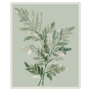 "Tonal Green Ferns I" by Elizabeth Medley 1-Piece Floater Frame Giclee Home Canvas Art Print 28 in. x 23 in.
