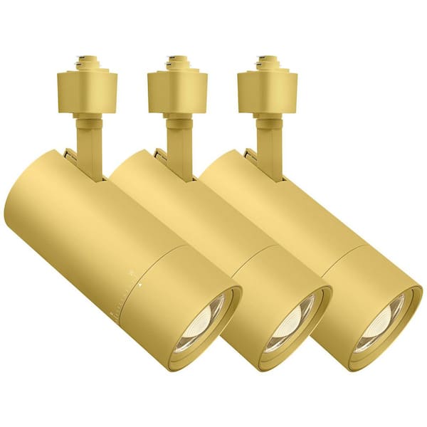 3 in. Zoomable LED Track Light, 5CCT, CRI90, 30W, 2100LM, Dimmable, 358° + 90° Tilt & 20°-50° Beam, ETL, Brass 3 Pack