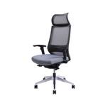 Home Office Mesh Medium Back Ergonomic Executive Chair with Adjustable Arms & Fixed Headrest, Grey