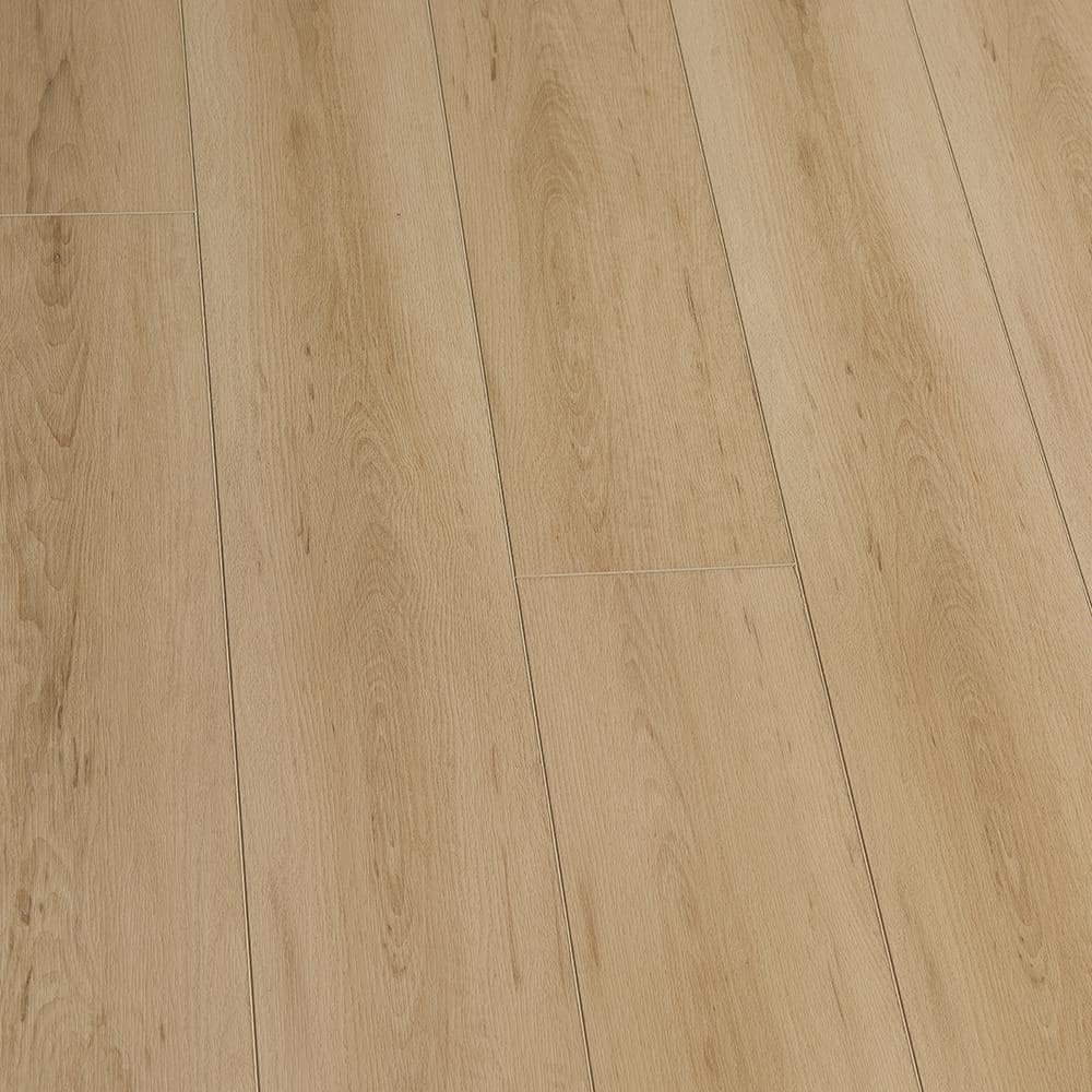 Take Home Sample - Maple Tiburon Click Lock Waterproof Luxury Vinyl Plank Flooring price history on PriceWatchPro