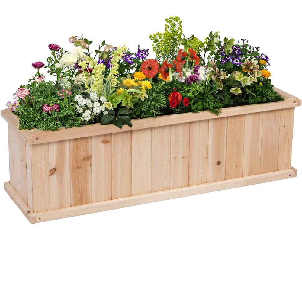 Shine Company 40 in. L x 12 in. W x 12.5 in. H Rectangle Natural