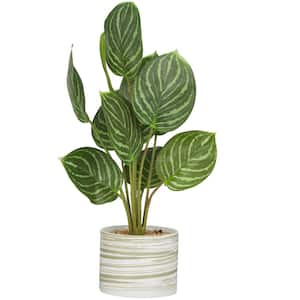 16 in. H Calathea Artificial Plant with Realistic Leaves and Patterned Porcelain Pot