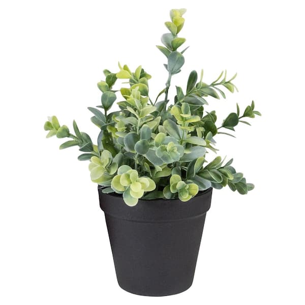 Northlight 10 in. Green Artificial Melia Azedarach Plant in Black Pot