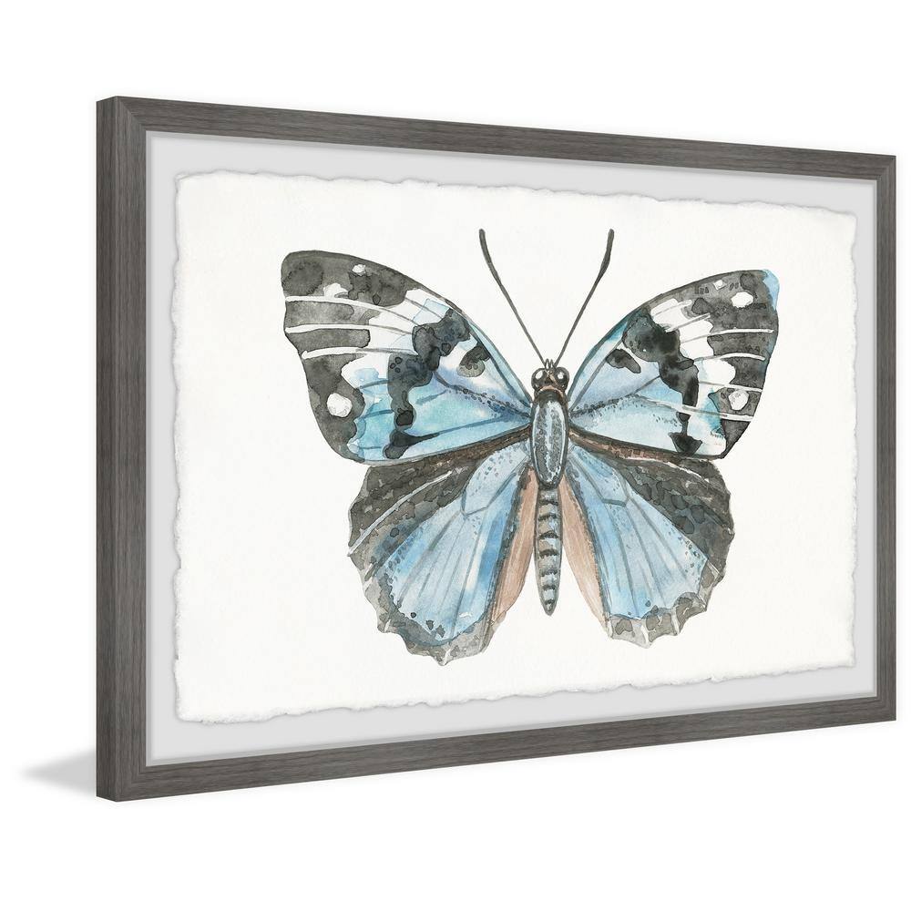 Blue and Black Butterfly Watercolor Print with Gray Frame