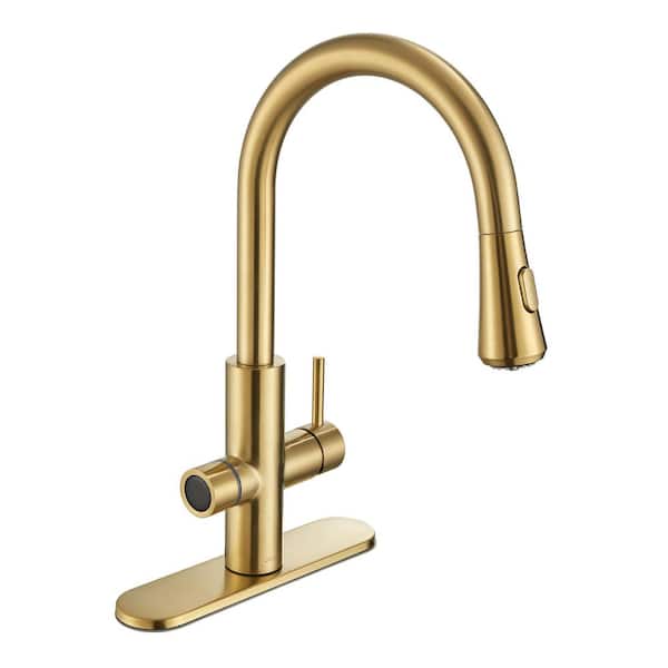 Sunset 4-in-1 Single Handle 360 Spout Swivel 17.5 in. Faucet for Hot Water with Boiler Tank and Filter in Brushed Gold