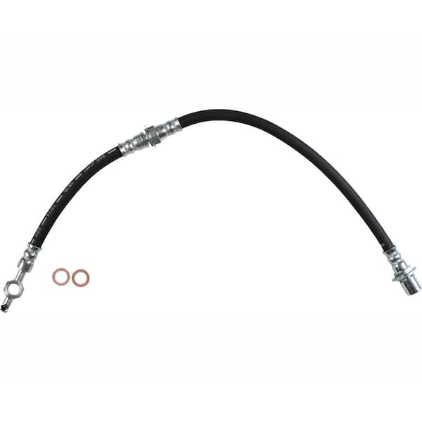 310mm Plug Anale Érotique Extra-Long pour Jeu BDSM et