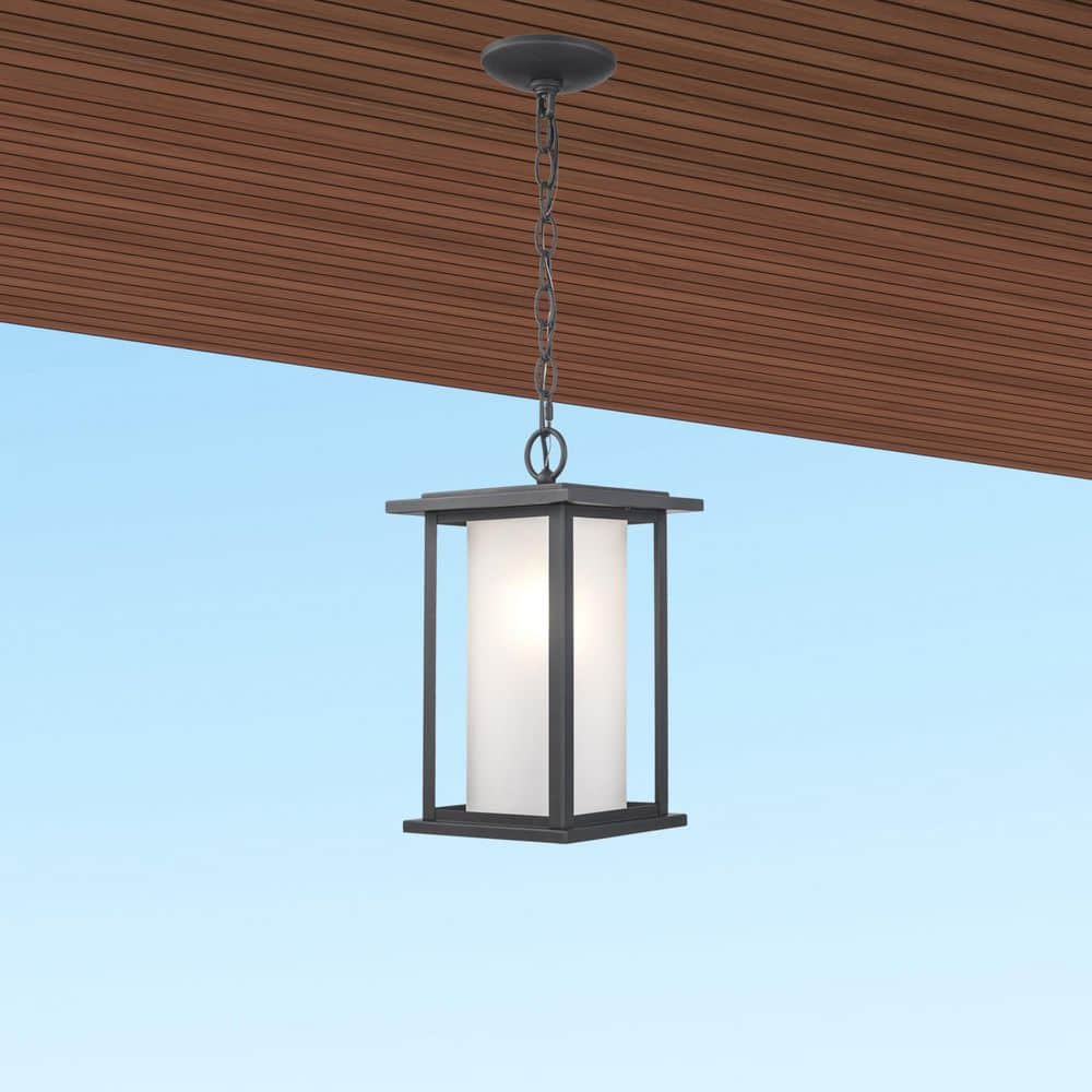 Shaakar 1-Light Black Hanging Outdoor Pendant Light Fixture with Frosted Glass price history on PriceWatchPro