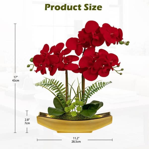 Plantes Décoratives Bureau 4 Mini Orchidées Artificielles En Pot - Soie Et PU - Décoration Maison, Bureau, Mariage - Rouge, Violet, Rose, Orange - SIFOEL Mini Orchidées Couleur Plantes Décoratives Bureau 4 Mini Orchidées Artificielles En Pot - Soie Et PU - Décoration Maison, Bureau, Mariage - Rouge, Violet, Rose, Orange - SIFOEL Mini Orchidées Couleur