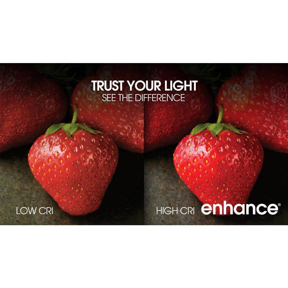 Feit Electric 40W Equivalent Dimmable Frosted LED Bulb 3-Pack