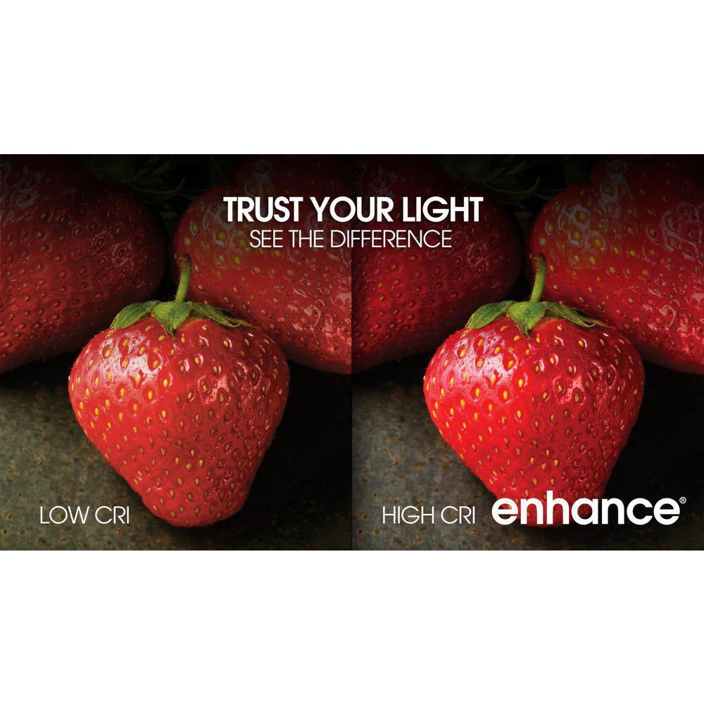 Feit Electric 40W Equivalent Dimmable Frosted LED Bulb 3-Pack