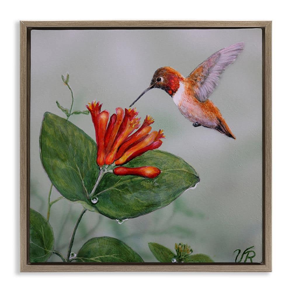 Red Hummingbird and Flower by Valerie Rogers Brown Floater Frame Animal Graphic Art Print 25 in. x 25 in. price history on PriceWatchPro