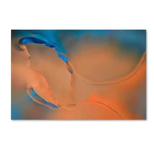 12 in. x 19 in. "Blue and Orange Flow" by Cora Niele Printed Canvas Wall Art
