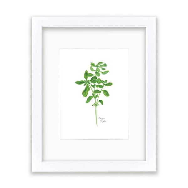 Unbranded Nature's Lace 2 "Oregano" by Alyssa Lewis Individual White Framed with Mat Nature Art Print 24 in. x 18 in.