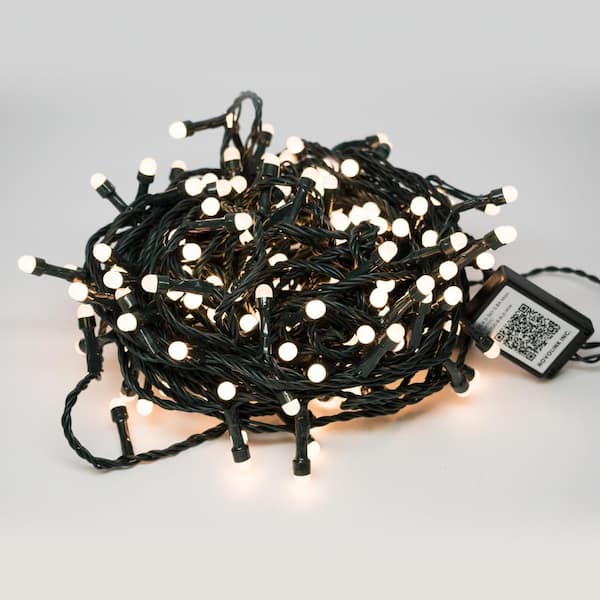 Novolink 8 mm 200 Lights Mini Globe Warm White LED Lights with Wireless Smart Control