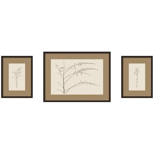 3 Piece Carlisle Botanical Sketch Neutrals by Stephanie Klatt Flowers Framed Art Print Set 24 in. x 72 in.