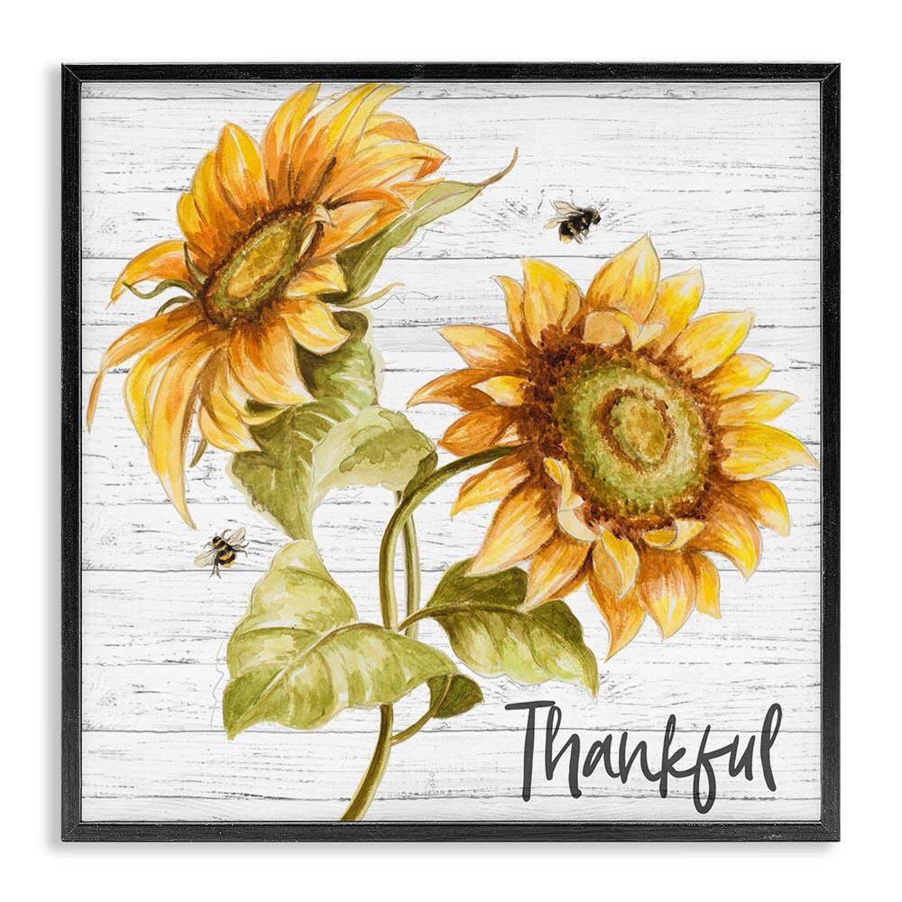 Thankful Country Sunflowers by Patricia Pinto Black Framed Giclee Art Print Nature 24 in. x 24 in. price history on PriceWatchPro