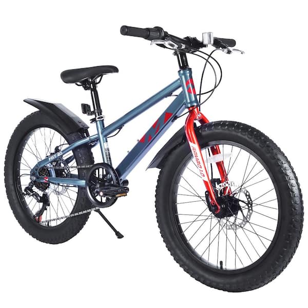 Zeus & Ruta 20 in. Grey Steel Kids Bicycles, Fat Tire Mountain Bike, Shimano 7-Speed Dual-Disc Brake, Kids Beach, Snow Bicycle