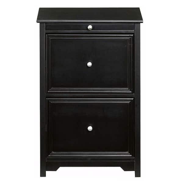 Unbranded Oxford 20.5 in. W Black 2-Drawer File Cabinet with Pull Out Shelf