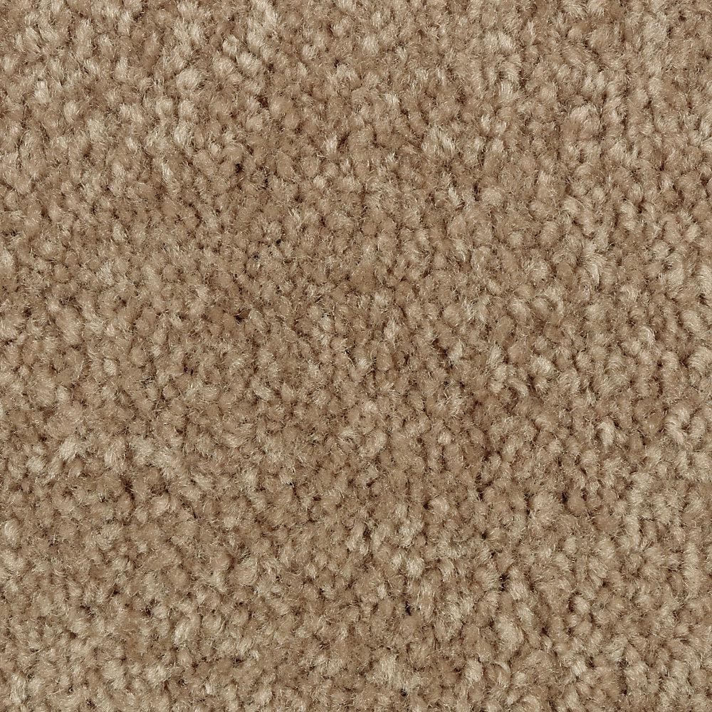 8 in. x 8 in. Texture Carpet Sample - Mason II -Color Pebble Path price history on PriceWatchPro