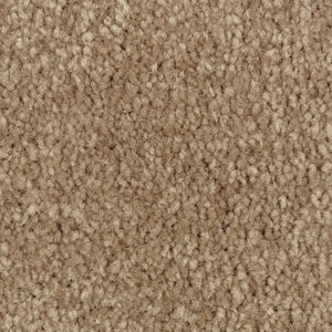 Mason I  - Pebble Path - Brown 35 oz. Triexta Texture Installed Carpet