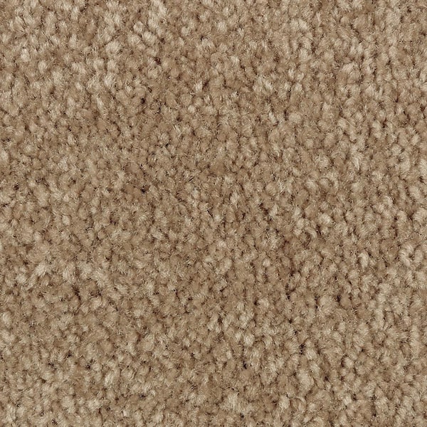 Lifeproof Mason I  - Pebble Path - Brown 35 oz. Triexta Texture Installed Carpet
