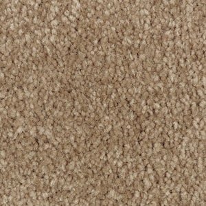 Mason II  - Pebble Path - Brown 54 oz. Triexta Texture Installed Carpet