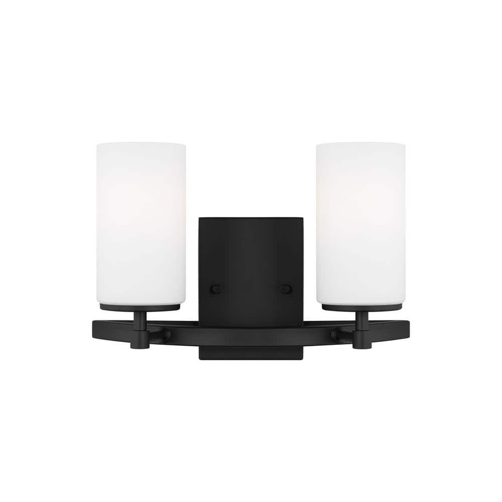 Alturas 13.5 in. 2-Light Midnight Black Modern Contemporary Wall Bathroom Vanity Light with LED Light Bulbs price history on PriceWatchPro