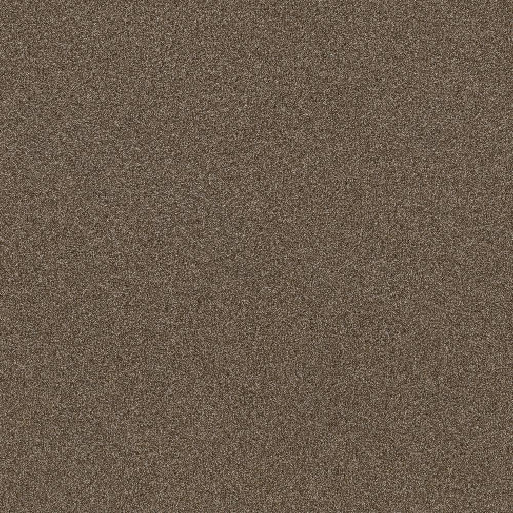 8 in x 8 in.  Texture Carpet Sample - Columbus I - Color Rich Earth price history on PriceWatchPro
