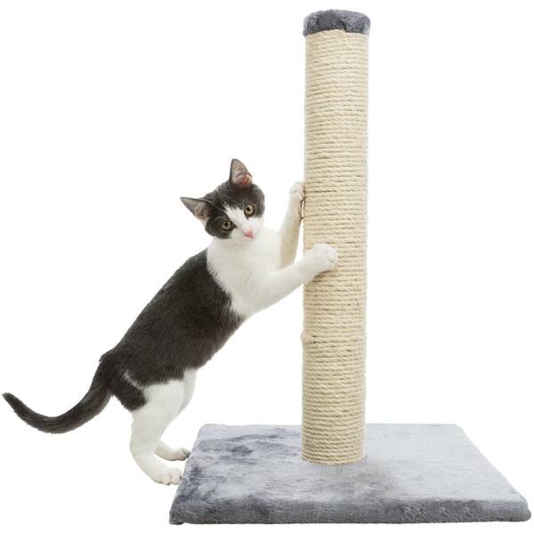 trixie parla scratching post