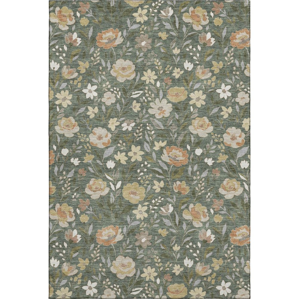 Mayfield Premium Machine Washable Abstract AMF2438 Basil 3 ft. x 5 ft. Area Rug price history on PriceWatchPro