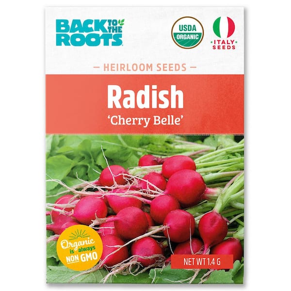 Organic Cherry Belle Radish Seed