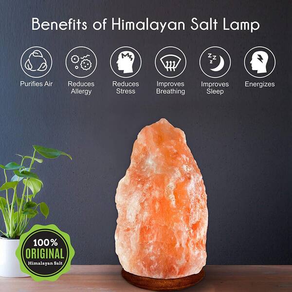Fab Glasirror Himalayan Crystal Rock Salt 11 In Pink Natural Shape Lamp 18 20 Lb Large With Wood Base Electric Wire And Bulb Sl Nas15 L The Home Depot Mirror Himalayan Crystal Rock Salt 11, Himalayan Rock Salt Crystal Lamps