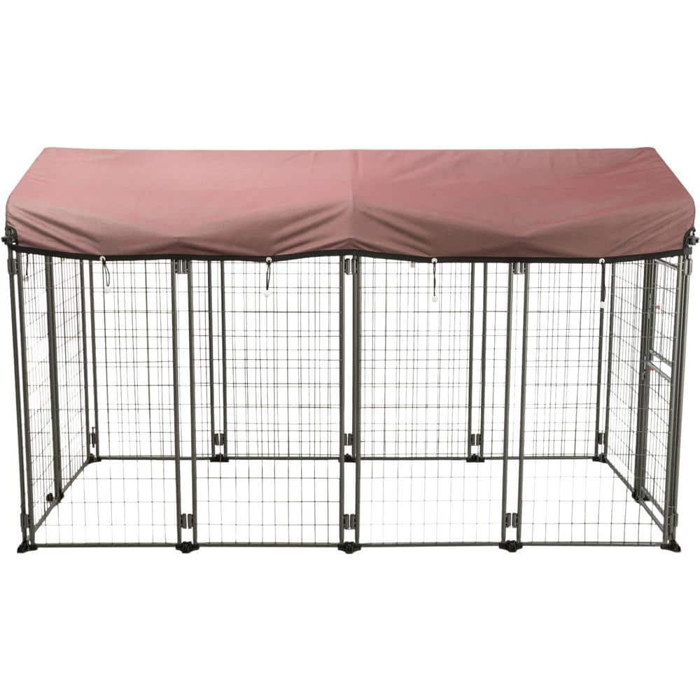 black-trixie-dog-kennels-39212