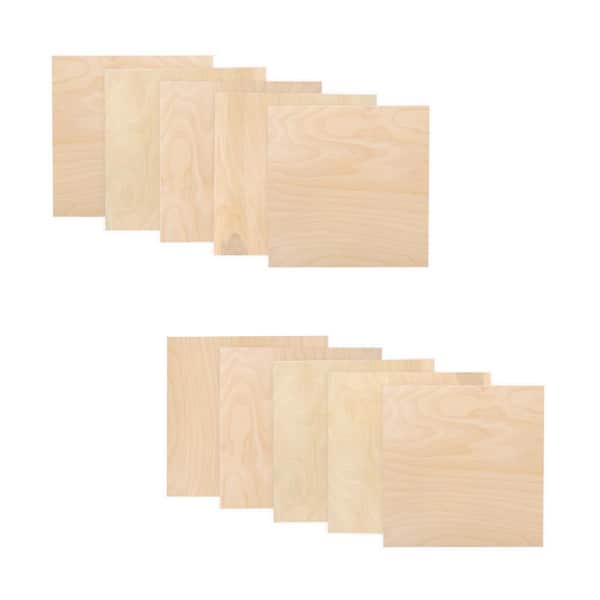 Walnut Hollow 1/8 in. x 1 ft. x 1 ft. Hardwood Plywood Project Panel (10-Pack)