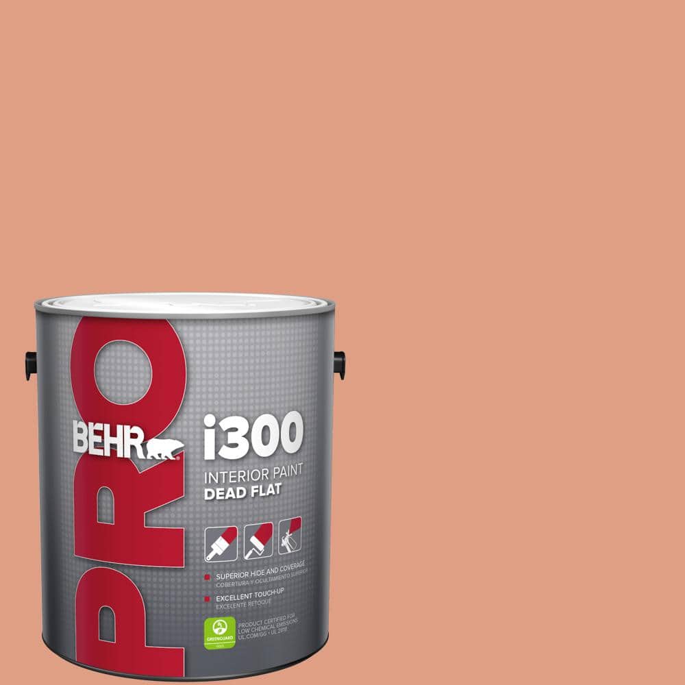 1 gal. #220D-4 Southwest Stone Dead Flat Interior Paint price history on PriceWatchPro